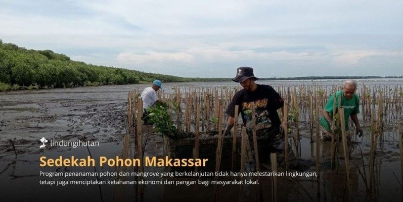Program Sedekah Pohon oleh LindungiHutan di Makassar