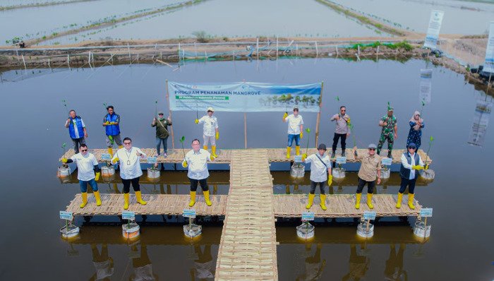Tanam 16.000 Bibit Mangrove, PT Pelindo Solusi Logistik Perkuat Ekosistem Blue Carbon untuk Mitigasi Perubahan Iklim (1)
